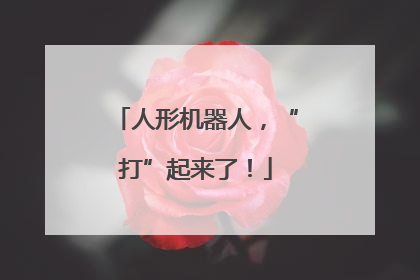 人形机器人，“打”起来了！