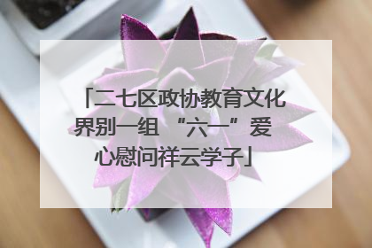 二七区政协教育文化界别一组 “六一”爱心慰问祥云学子