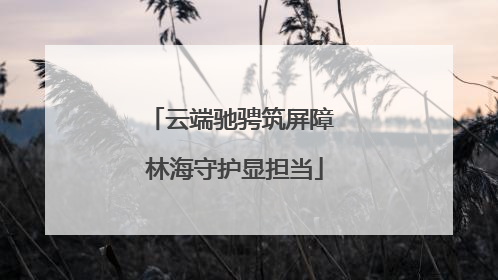 云端驰骋筑屏障 林海守护显担当