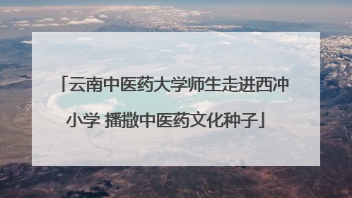 云南中医药大学师生走进西冲小学 播撒中医药文化种子