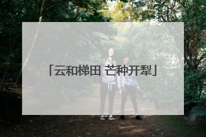云和梯田 芒种开犁