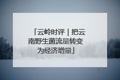 云岭时评｜把云南野生菌流量转变为经济增量