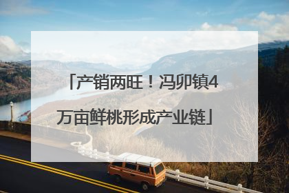 产销两旺！冯卯镇4万亩鲜桃形成产业链
