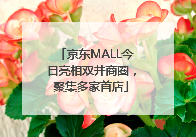京东MALL今日亮相双井商圈，聚集多家首店