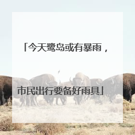 今天鹭岛或有暴雨，市民出行要备好雨具