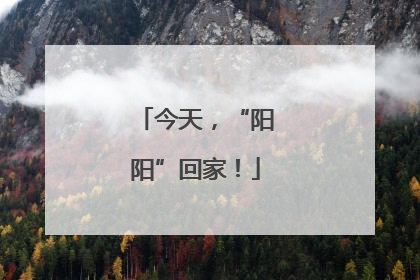 今天，“阳阳”回家！