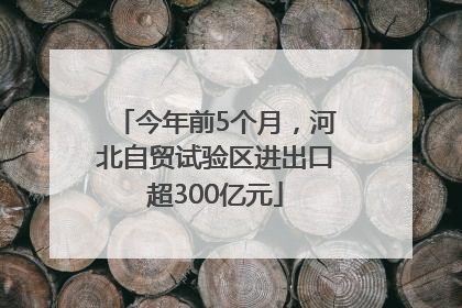 今年前5个月，河北自贸试验区进出口超300亿元