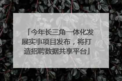 今年长三角一体化发展实事项目发布，将打造招聘数据共享平台