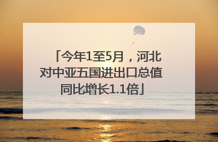 今年1至5月，河北对中亚五国进出口总值同比增长1.1倍