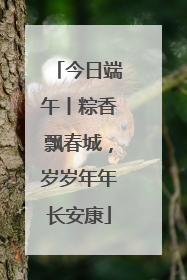今日端午丨粽香飘春城，岁岁年年长安康