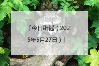 今日辟谣（2025年5月27日）
