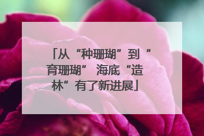 从“种珊瑚”到“育珊瑚” 海底“造林”有了新进展