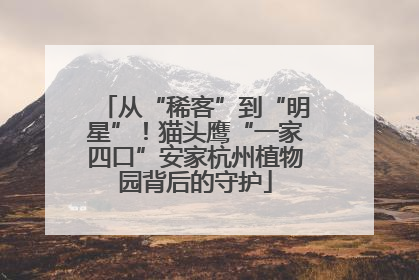 从“稀客”到“明星”！猫头鹰“一家四口”安家杭州植物园背后的守护