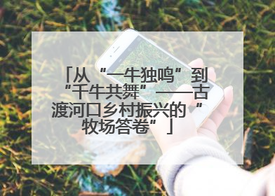 从“一牛独鸣”到“千牛共舞”——古渡河口乡村振兴的“牧场答卷”
