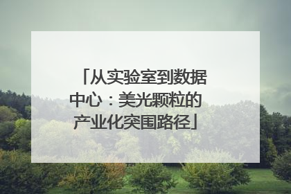 从实验室到数据中心：美光颗粒的产业化突围路径
