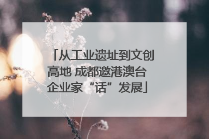 从工业遗址到文创高地 成都邀港澳台企业家“话”发展
