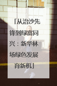 从治沙先锋到绿富同兴：新华林场绿色发展育新机