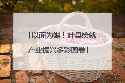 以面为媒！叶县绘就产业振兴多彩画卷
