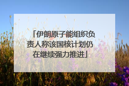 伊朗原子能组织负责人称该国核计划仍在继续强力推进