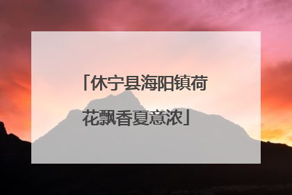 休宁县海阳镇荷花飘香夏意浓