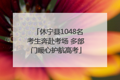 休宁县1048名考生奔赴考场 多部门暖心护航高考