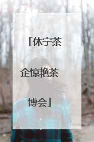 休宁茶企惊艳茶博会