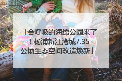 会呼吸的海绵公园来了！杨浦新江湾城7.35公顷生态空间改造焕新