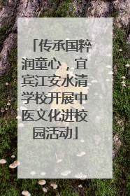 传承国粹润童心，宜宾江安水清学校开展中医文化进校园活动