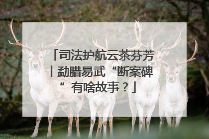 司法护航云茶芬芳丨勐腊易武“断案碑”有啥故事？