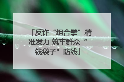 反诈“组合拳”精准发力 筑牢群众“钱袋子”防线