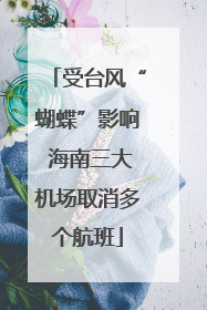 受台风“蝴蝶”影响 海南三大机场取消多个航班