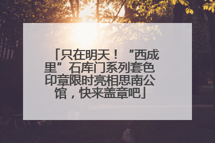 只在明天！“西成里”石库门系列套色印章限时亮相思南公馆，快来盖章吧