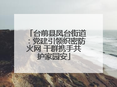 台前县凤台街道：党建引领织密防火网 干群携手共护家园安