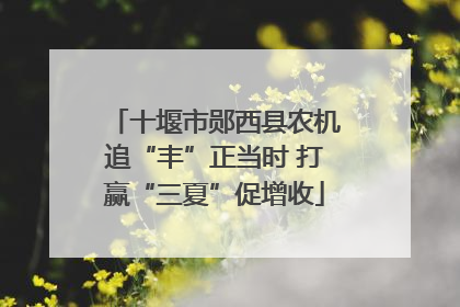十堰市郧西县农机追“丰”正当时 打赢“三夏”促增收
