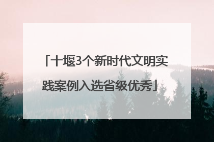 十堰3个新时代文明实践案例入选省级优秀