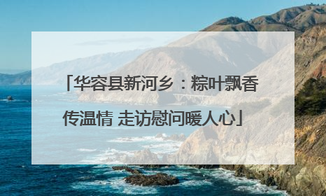 华容县新河乡：粽叶飘香传温情 走访慰问暖人心