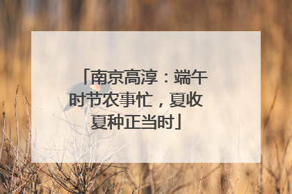 南京高淳：端午时节农事忙，夏收夏种正当时