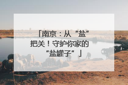 南京：从“盐”把关！守护你家的“盐罐子”