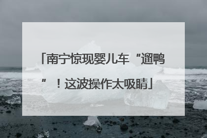 南宁惊现婴儿车“遛鸭”！这波操作太吸睛