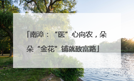 南漳：“医”心向农，朵朵“金花”铺就致富路