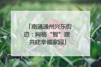 南通通州兴东街道：网格“智”理 共建幸福家园