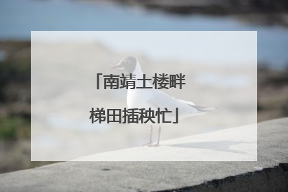 南靖土楼畔 梯田插秧忙