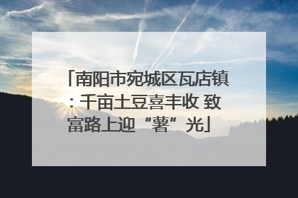 南阳市宛城区瓦店镇：千亩土豆喜丰收 致富路上迎“薯”光