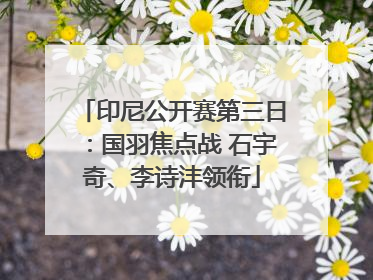 印尼公开赛第三日：国羽焦点战 石宇奇、李诗沣领衔