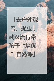 去户外观鸟、捉虫，武汉流行带孩子“培优”自然课