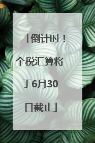 倒计时！个税汇算将于6月30日截止