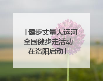 健步丈量大运河 全国健步走活动在洛阳启动