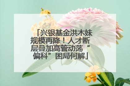 兴银基金洪木妹规模再降！人才断层叠加高管动荡“偏科”困局何解