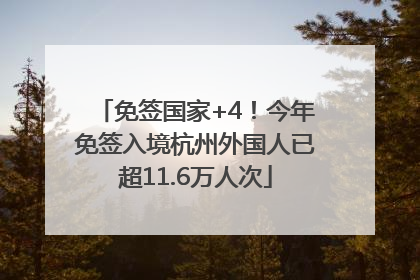 免签国家+4！今年免签入境杭州外国人已超11.6万人次