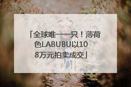 全球唯一一只！薄荷色LABUBU以108万元拍卖成交